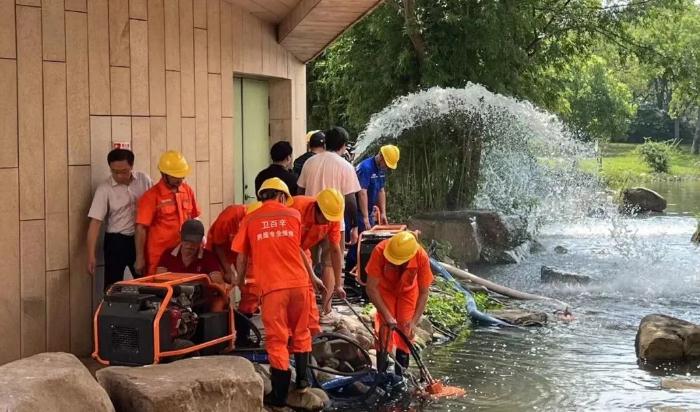 實戰演練,筑牢防汛防臺安全底線