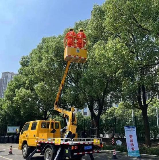 實戰演練,筑牢防汛防臺安全底線